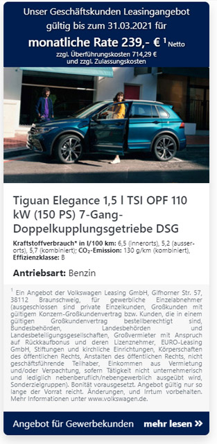 VW413