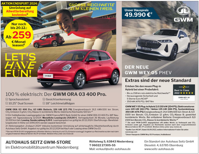 GWM13
