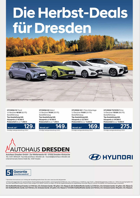 Hyundai205