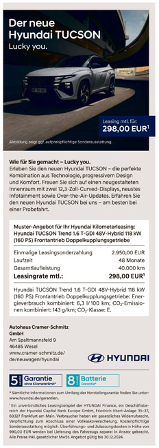 Hyundai67